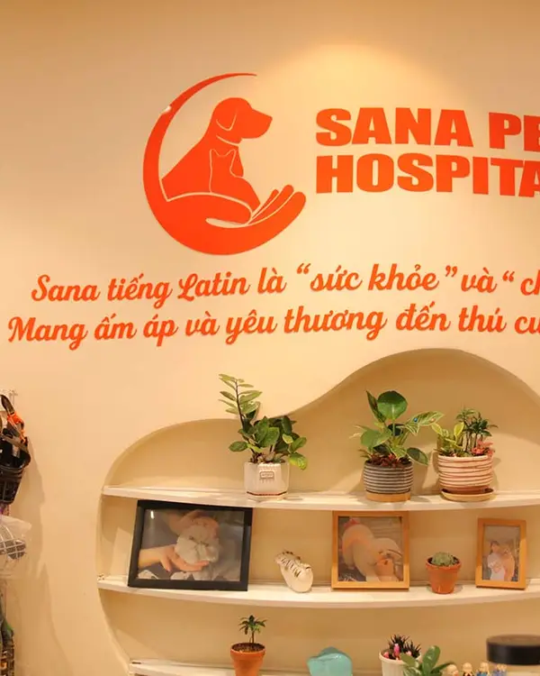 Quầy tiếp đón phòng khám thú y Sana Pet Hospital Phú Nhuận, TP.HCM
