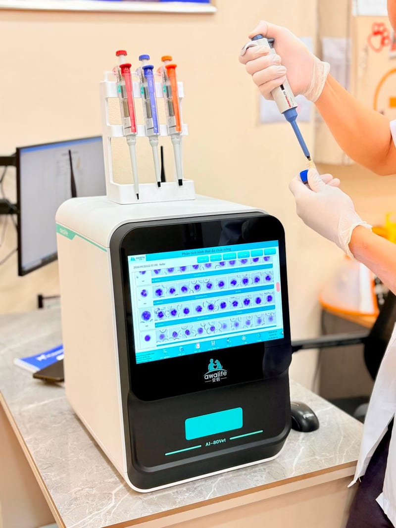 Kỹ thuật viên Sana Pet xét nghiệm mẫu bằng máy phân tích sinh hóa tại Phú Nhuận
