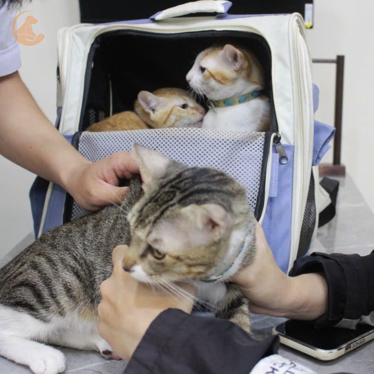 Sana Pet Facility