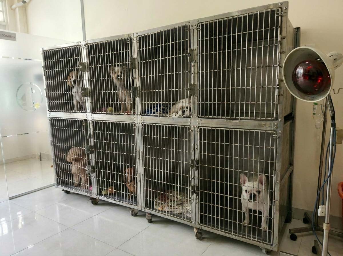 Sana Pet Facility