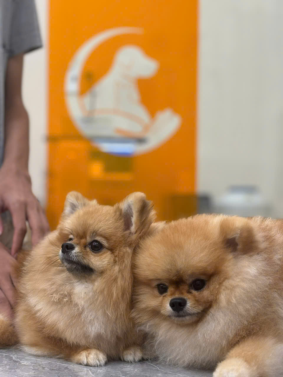 Sana Pet Facility