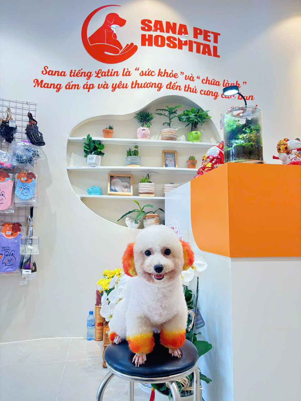 Sana Pet Facility