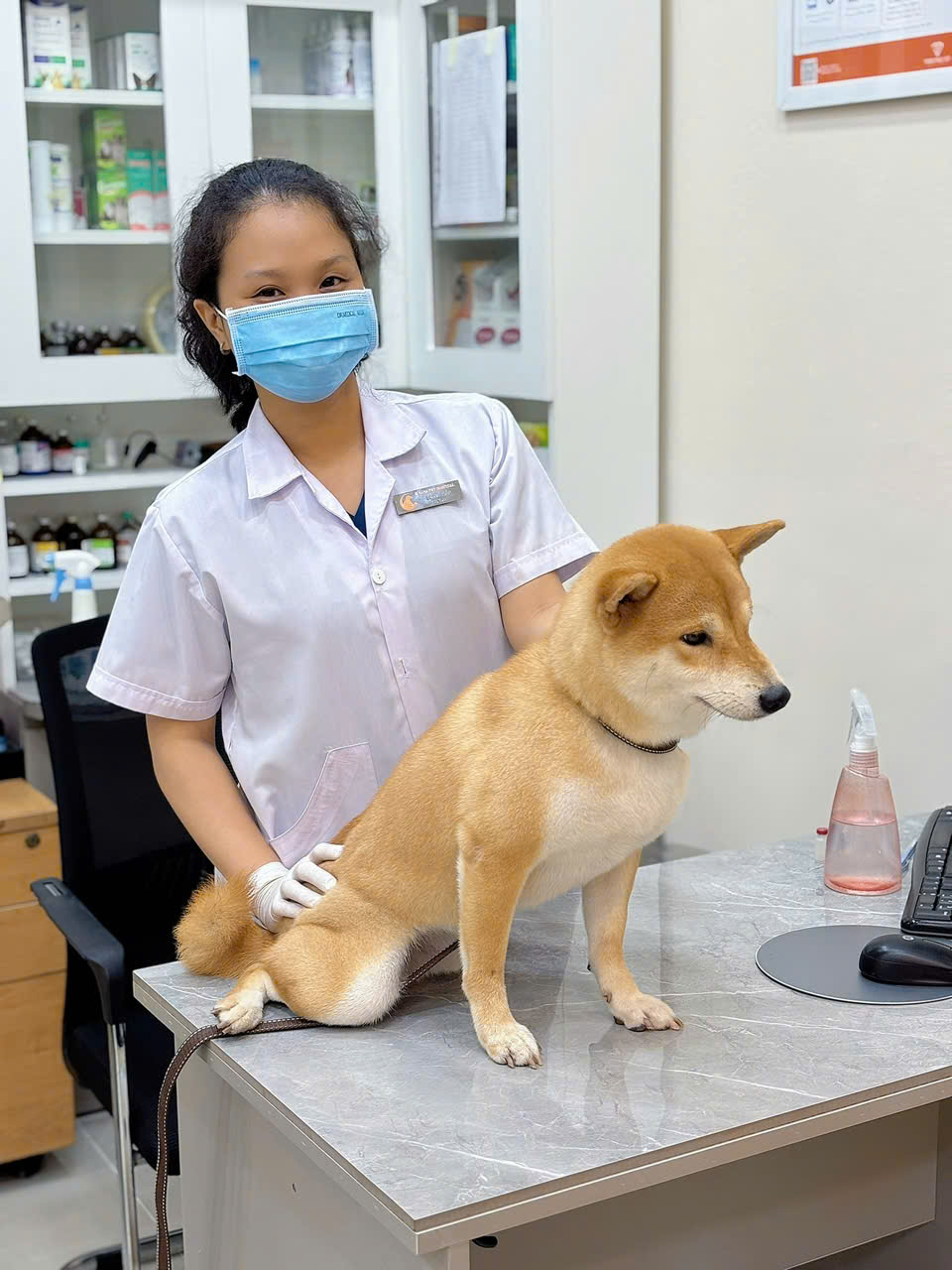 Sana Pet Facility
